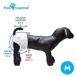 Paw Inspired 32ct Disposable Dog Diapers | Female
