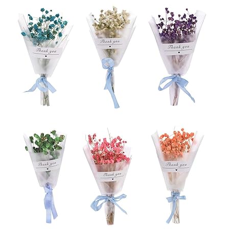 Dizi248 Mini étoile Naturelle Fleur Séchée Décoration De