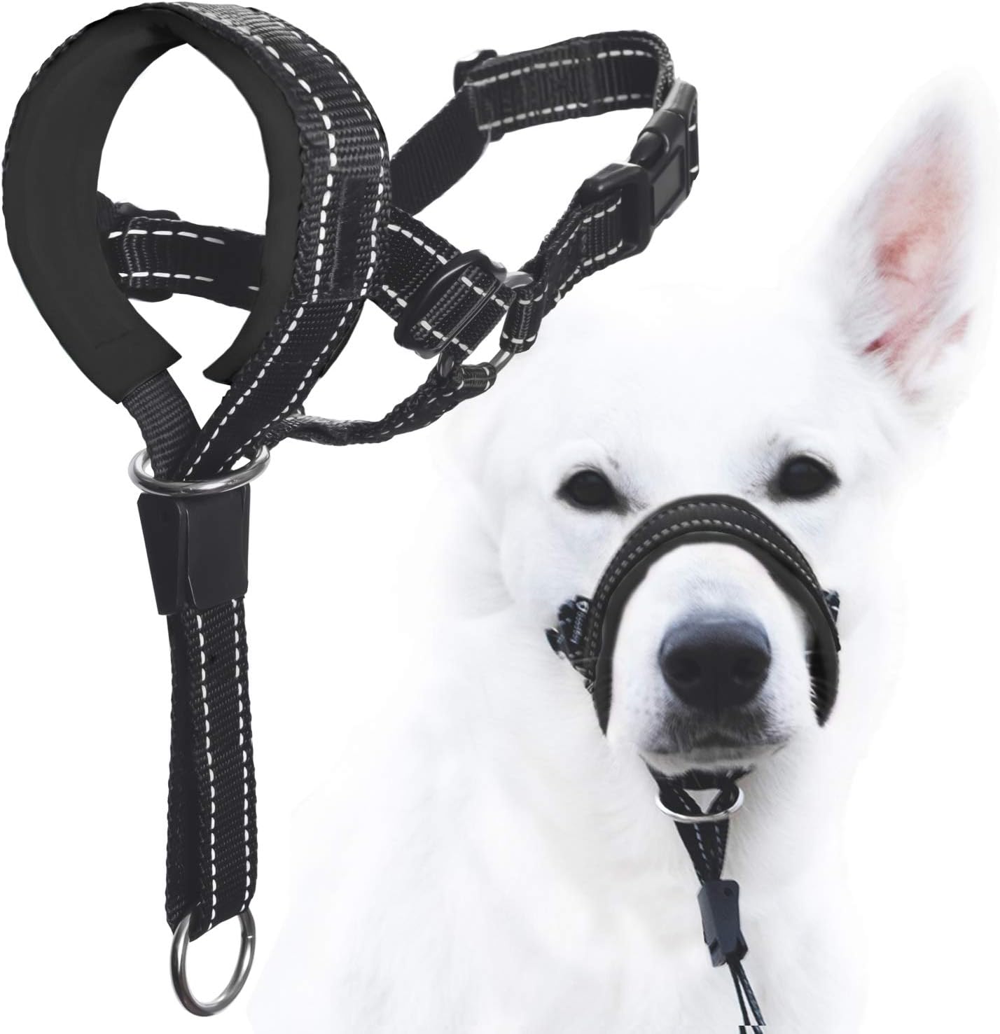 dog bridle headcollar