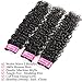 Brazilian Water Wave Bundles Human Hair 8A Wet and Wavy Human Hair Weave Bundles (18 20 22) 100% Unprocessed Brazilian Virgin Human Hair for Black Women Curly Human Hair Weave Bundles