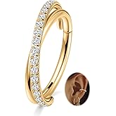 16G Cartilage Earring Hoop 316L Surgical Steel Daith Helix Conch Earrings Tragus Rook Earrings CZ Opal Septum Jewelry Seamless Clicker Nose Rings Hinged Segment Ring Hoop Earring for Women Men