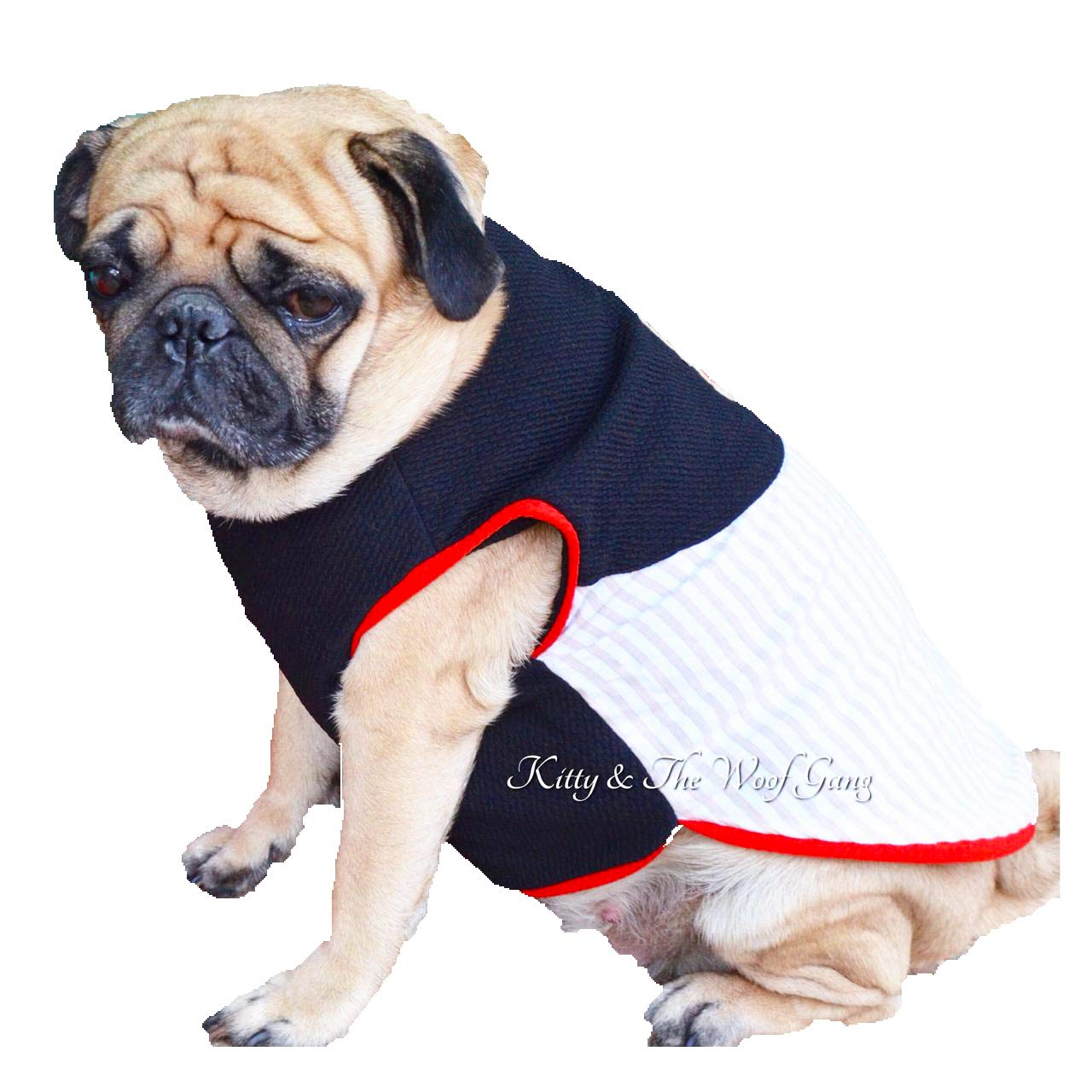 off white dog clothes