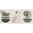 Sage Green Boho Wall Art Set of 3 Abstract Minimalist Geometric Line Poster Green Botanical Leaf Canvas Prints Modern Artwork Painting Decor for Living Room Bedroom Office 16x24 in Unframed