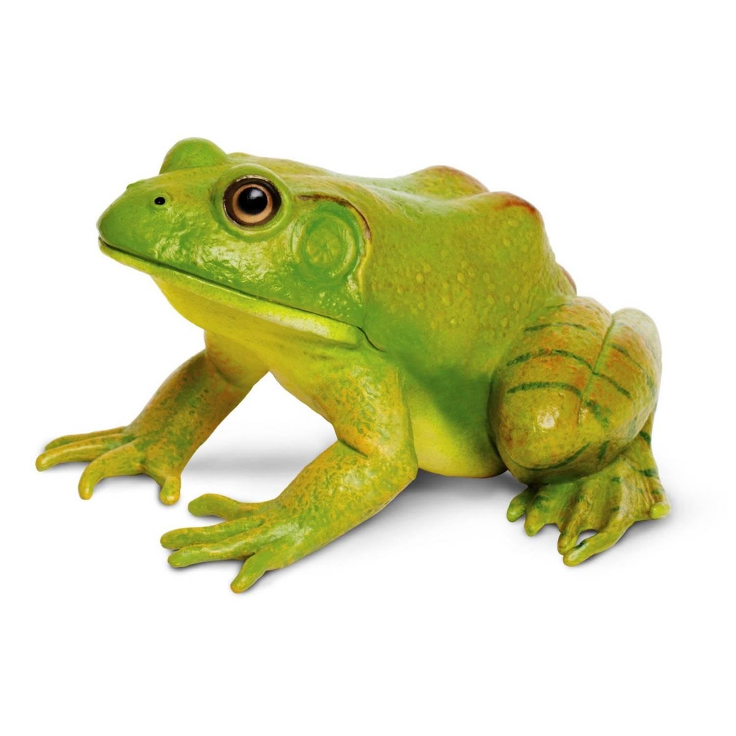 Safari S268729 American Bullfrog - Multicolor