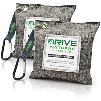 how to remove mildew smell from car