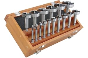 Steelex D3573 Forstner Bit Set with Hex Shank, 16-Piece