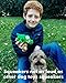 Crocodile Sensory Dog Toy Natural Rubber (Latex), Lead-Free & Chemical-Free, Handpainted, Soft & Squeak
