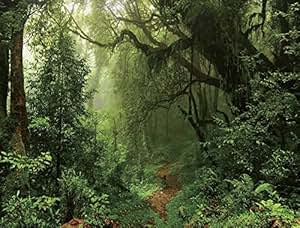 Amazon.com : RBabyPhoto 5X3FT Jungle Forest Backdrop