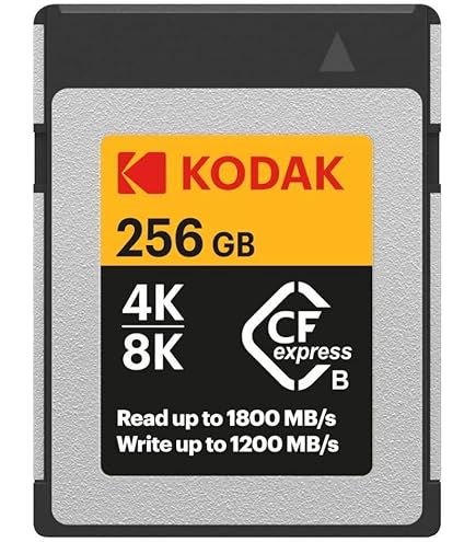 61ZO267VTuL._AC_UL495_SR435,