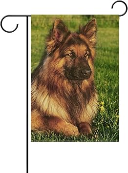 Amazon.com : Dog German Shepherd Portrait Polyester Garden Flag Yard