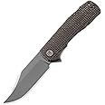 Petrified fish PFP03 Victor,3.58" K110 Stonewashed Blade,140g Micarta Handle Flipper Liner lock Folding knife (Brown Stonewashed)