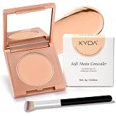FREEORR Under Eye Brightener with Brush, Colored Clay CC Undereye Corrector for Dark Circles, Conceal Brighten Hydrating Under Eye Skin, Skin Concealer Color Correcting for Women(Natural)