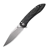 Petrified fish PFE08 Grow Folding Knife,3.62" K110