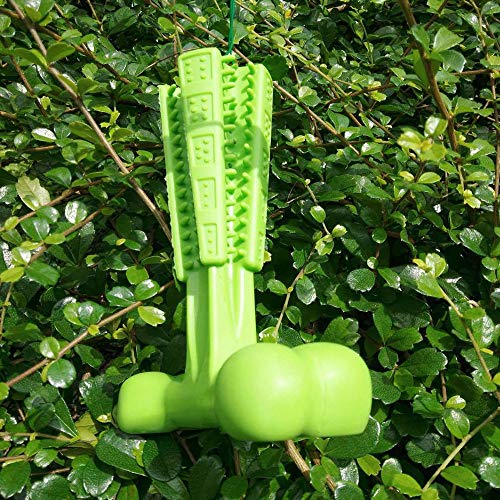image for Euone  Doggy Brush Stick Clearance , Dog Molar Stick Brushing Stick Do