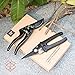 TaoTronics Garden Shears Professional Pruning Shears Kits, Garden Clippers Tree Trimmers Bypass Hand Pruners with Carbon Steel Blades and Safety Lock for Garden and Lawn