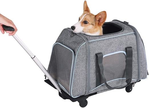 cat carrier on wheels amazon