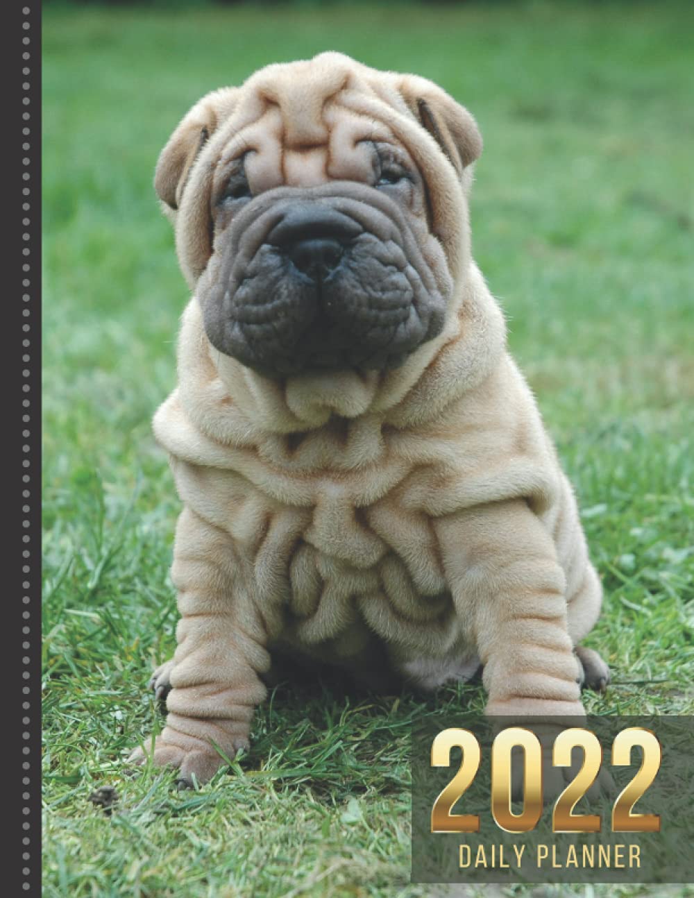 large shar pei