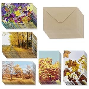 Amazon.com : 48 Pack All Occasion Assorted Blank Note Cards Greeting Card Bulk Box Set - 6 Fall ...