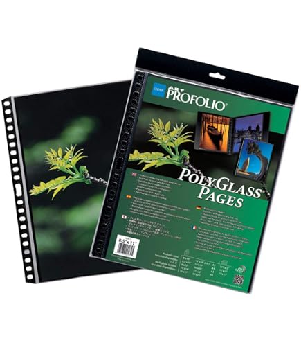 Itoya Profolio Magnet Closure Portfolio Case - 11x17 Inch, Polypropylene, 1/4” Capacity For Art & Documents