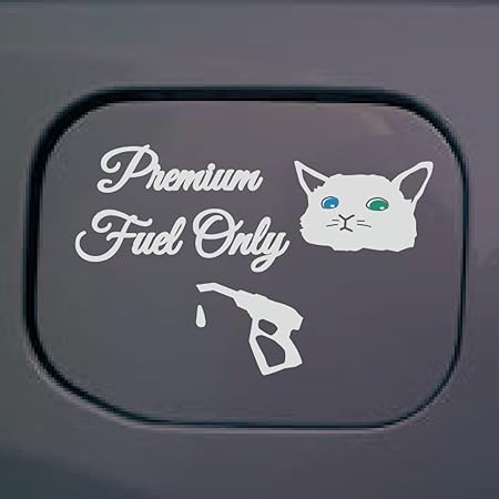 ギネス エキサイティング ポインタ 給油 口 ステッカー 猫 Adrienlombardo Com ギネス エキサイティング ポインタ 給油 口 ステッカー 猫 Adrienlombardo Com