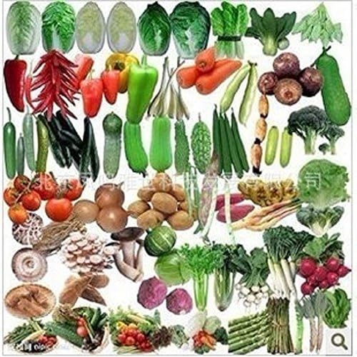 semillas de hortalizas orgánicas calientes verduras paquete de ...