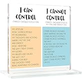 Inspiration Office Acrylic Sign Things I Can't Control Office Decor Sign, Thank You Gifts for Woman Friends Nurse Coworker Decorative Desk Accessories Table Shelf Plaque Signs