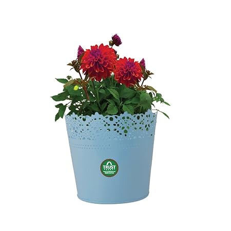 TrustBasket Lace Metal Planters (Teal)