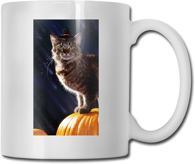 Civet Cat 11 Gusi ceramic coffee cup office