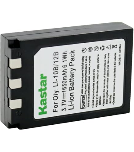 Amazon.com: Kastar 1-Pack Battery and AC Wall Charger