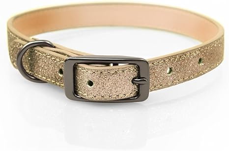 Gold glitter dog collar Clearance