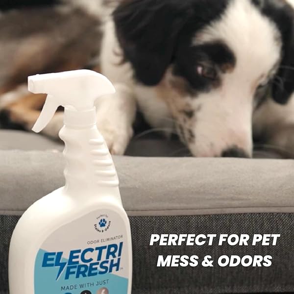 ELECTRIFRESH ODOR ELIMINATOR, 32OZ SPRAY, INSTANTLY & PERMANENTLY DISMANTLES SMELLS FROM DOGS, CATS, PET, FURNITURE, FABRIC, BATHROOM, GARBAGE, FRESHENER, DEODORIZER, ALL PURPOSE, MADE IN THE USA