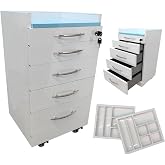 TECHTONGDA 4 Drawer Dental Assistant's Mobile Cabinet Dental Medical Storage Cabinet, Stainless Steel Utility Mobile Medical Trolley Cart with Lock &amp; 2 Partition Trays for Hospital Clinic Office
