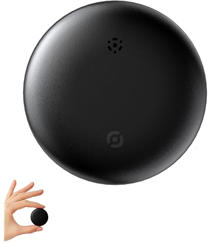 air tag 卯 Apple Air Tag 2個セット 未開封 うさぎ 兎 卯年 非売品 - メルカリ