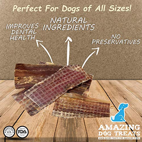 Beef Esophagus Jerky for Dogs ( 6 Inch 25 Pc/ Pack) Beef Gullet Dog
