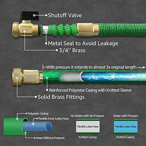 Blueberry Expandable and Flexible Garden Hose - Solid Brass Fittings & Strongest Triple Core Latex, 8 Pattern Spray Nozzle 3/4 US Standard Easy to Storage Kink Free Compact and Durable (75 Feet)