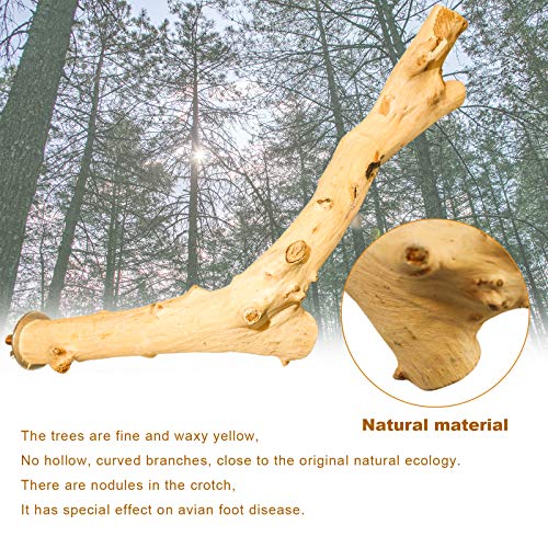 Roundler 5 PCS Bird Perch Wood Stand Pole，Bird Wood Perch Platform Exercise Playground Toy for Pet Parrot Budgie Parakeet Cockatiel Conure Lovebirds Cage Accessories Toys (H01)