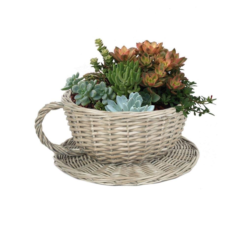 Wrenbury Tea Cup Plant Pot Basket - Antique Wash Woven Giant Teacup and Saucer Planter with Waterproof Lining Indoor Outdoor Use - Flowering Bulb Planting Seagrass