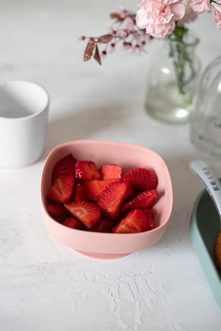 Mentin Assiette Ventouse Bebe En Silicone Avec 4 Compartiments Bol De Complement Alimentaire Pour Bebe Avec Couvercle Rose Assiettes Et Bols Vaisselle Eng Bouldermicrofinance Org