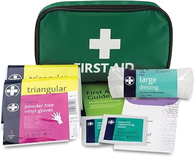 Reliance Medical HSE 1 Person First Aid Kit Green Pouch Home Car Holiday
