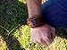 Thor's Hammer Mjolnir Men's leather bracelet with the rune Thurisaz on metal inserts Scandinavian Viking Nordic amulets Mjölnir Mjǫllnir FREE SHIPPING custom size Blued steel