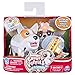 Chubby Puppies & Friends - Single Pack - Australian Shepherd