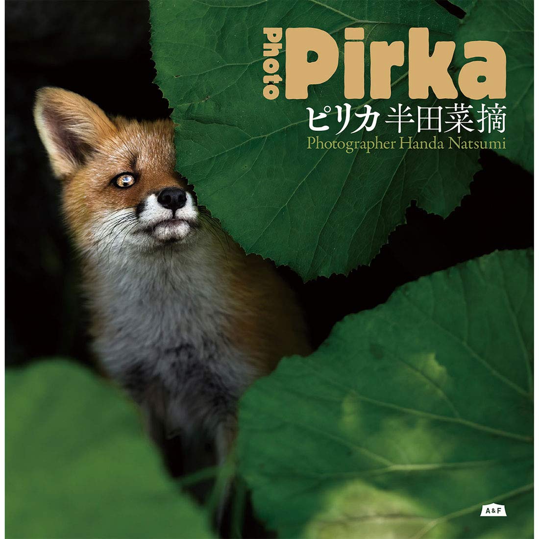 ピリカ 半田 菜摘 半田 菜摘 本 通販 Amazon