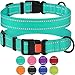 CollarDirect Reflective Dog Collar for a Small, Medium, Large Dog or Puppy with a Quick Release Buckle - Boy and Girl - Nylon Suitable for Swimming (10-13 Inch, Mint Green)