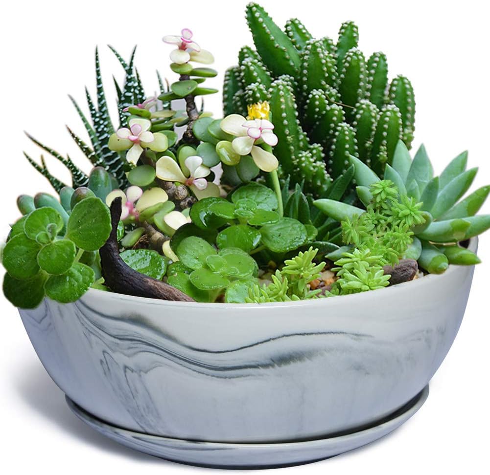 EPGardening 10Inch Large Planter Pot Marble Pattern Ceramic Succulent