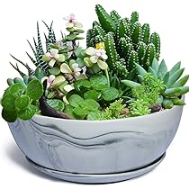 Amazon.com : G EPGardening 10Inch Large Planter Marble