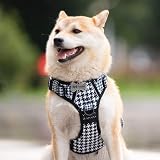 PoyPet No Pull Dog Harness Reflective Front & Back Leash Attachments Large view 3