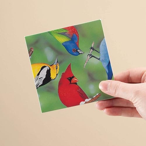 Water Birds Scramble Squares® - Scramble Squares