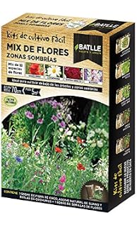 Bulbos - Jacintero + Jacintos Rosa - Batlle: Amazon.es: Jardín