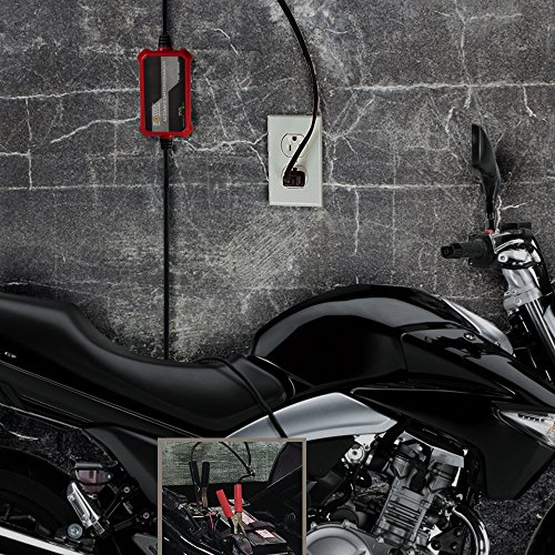 Foval Automatic Trickle Battery Charger 12V 1000mA Smart Battery Charger
