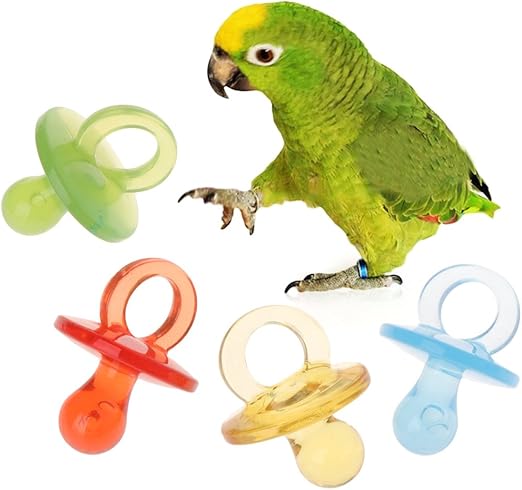 acrylic parrot toys